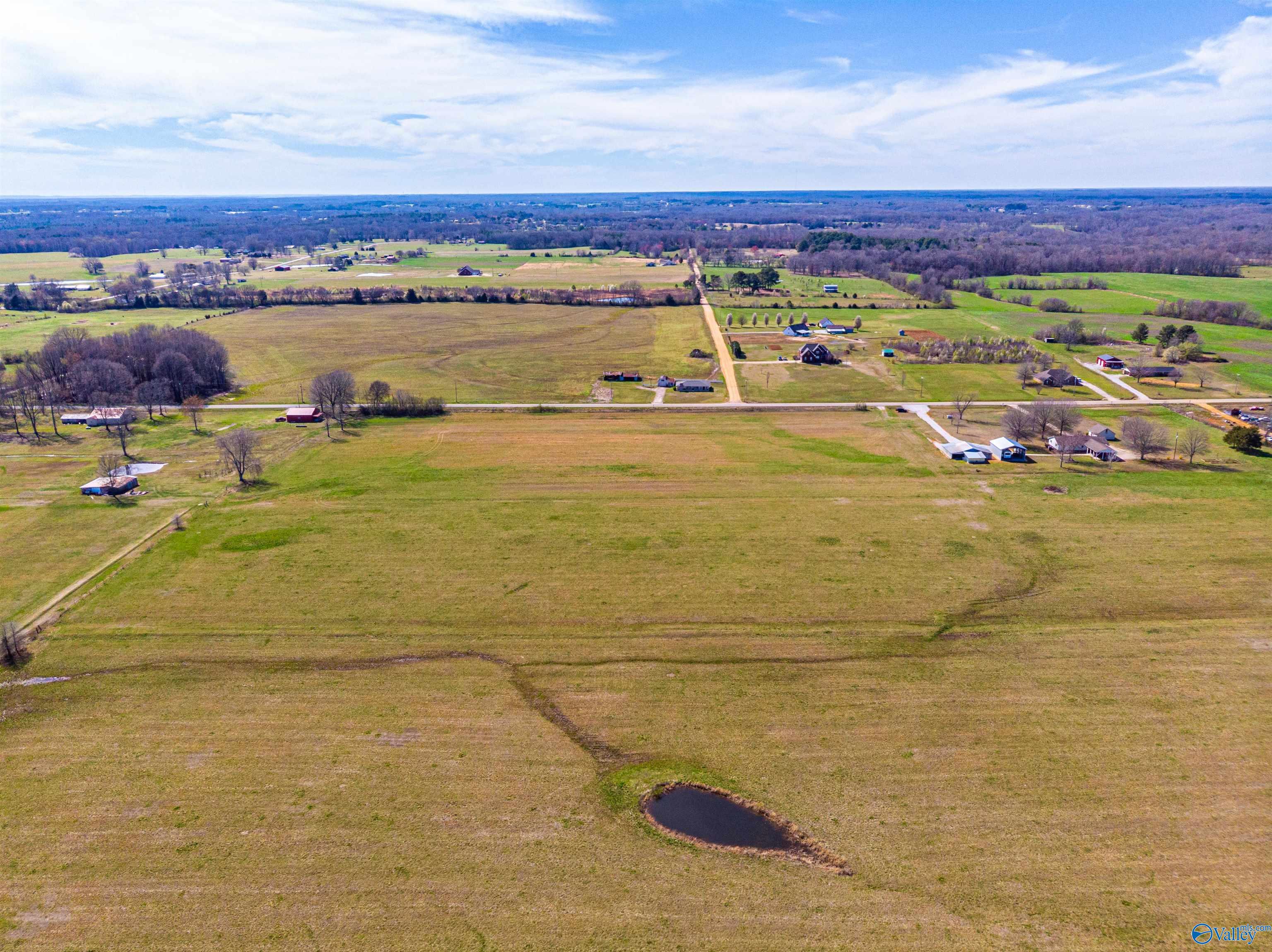 Tract 3 County Road 51, Rogersville, Alabama image 8
