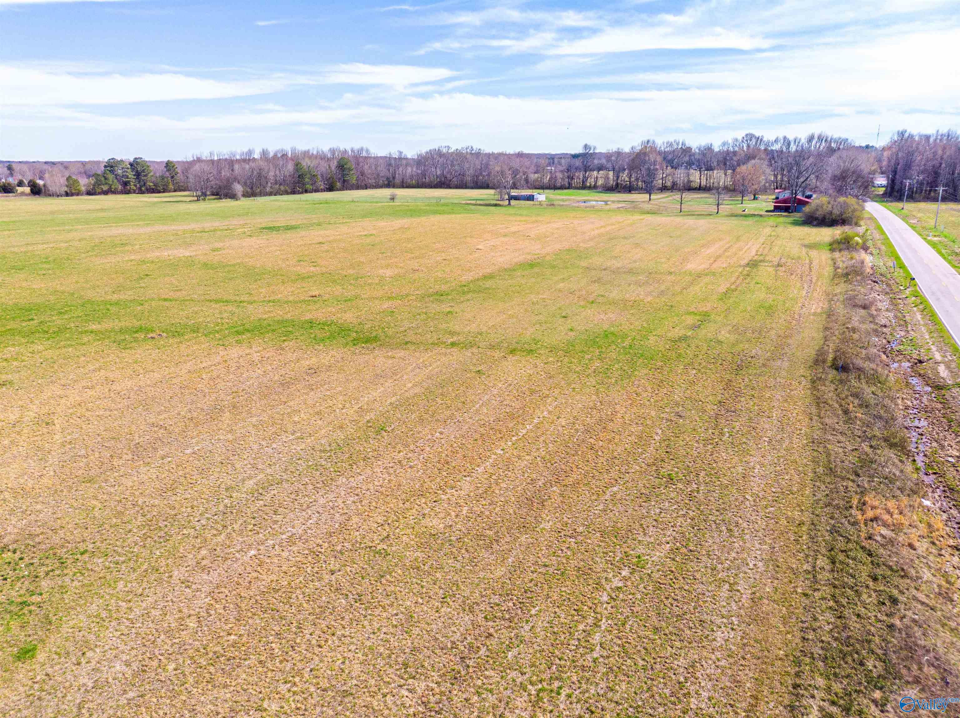 Tract 3 County Road 51, Rogersville, Alabama image 15