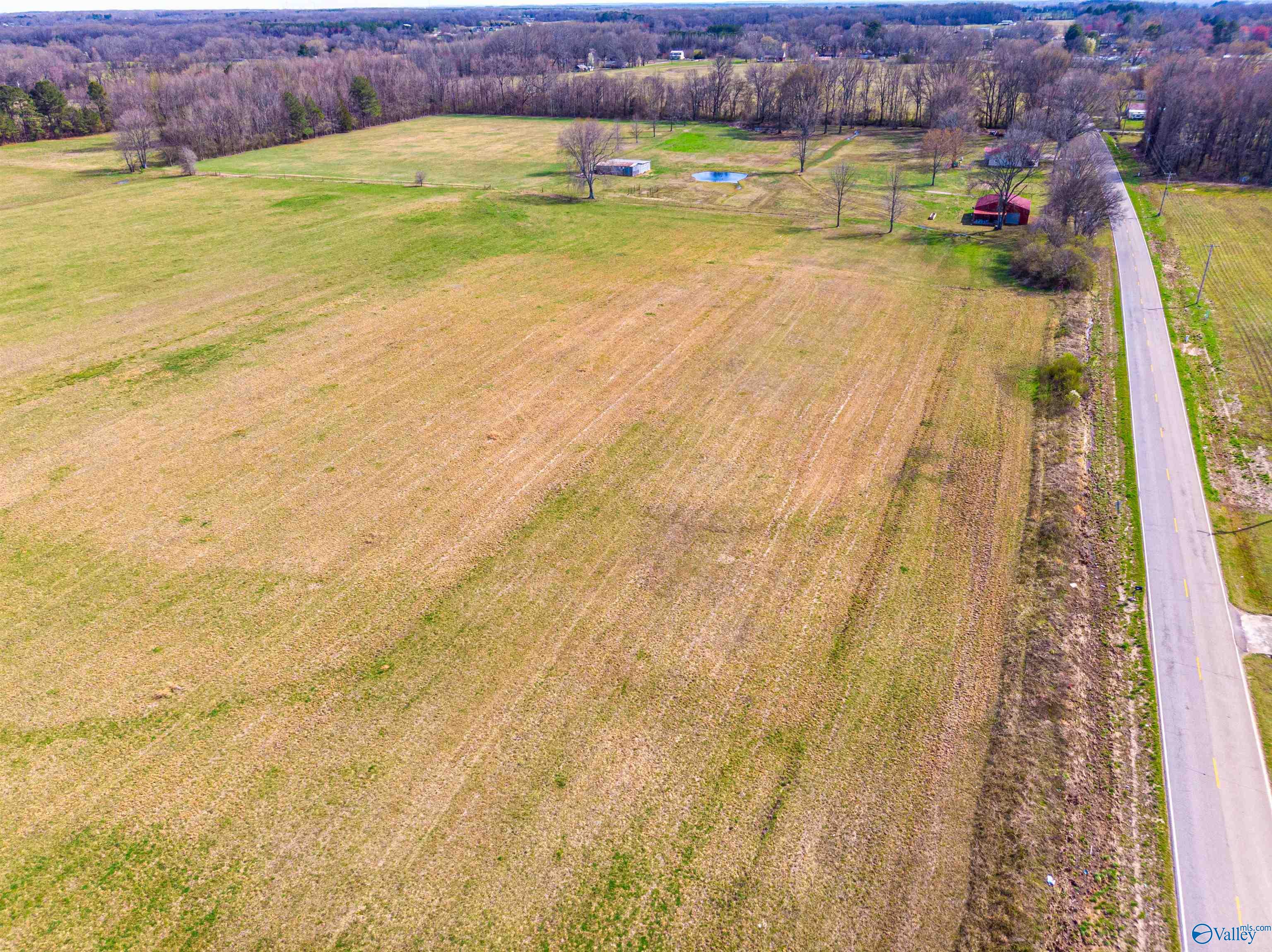 Tract 3 County Road 51, Rogersville, Alabama image 13
