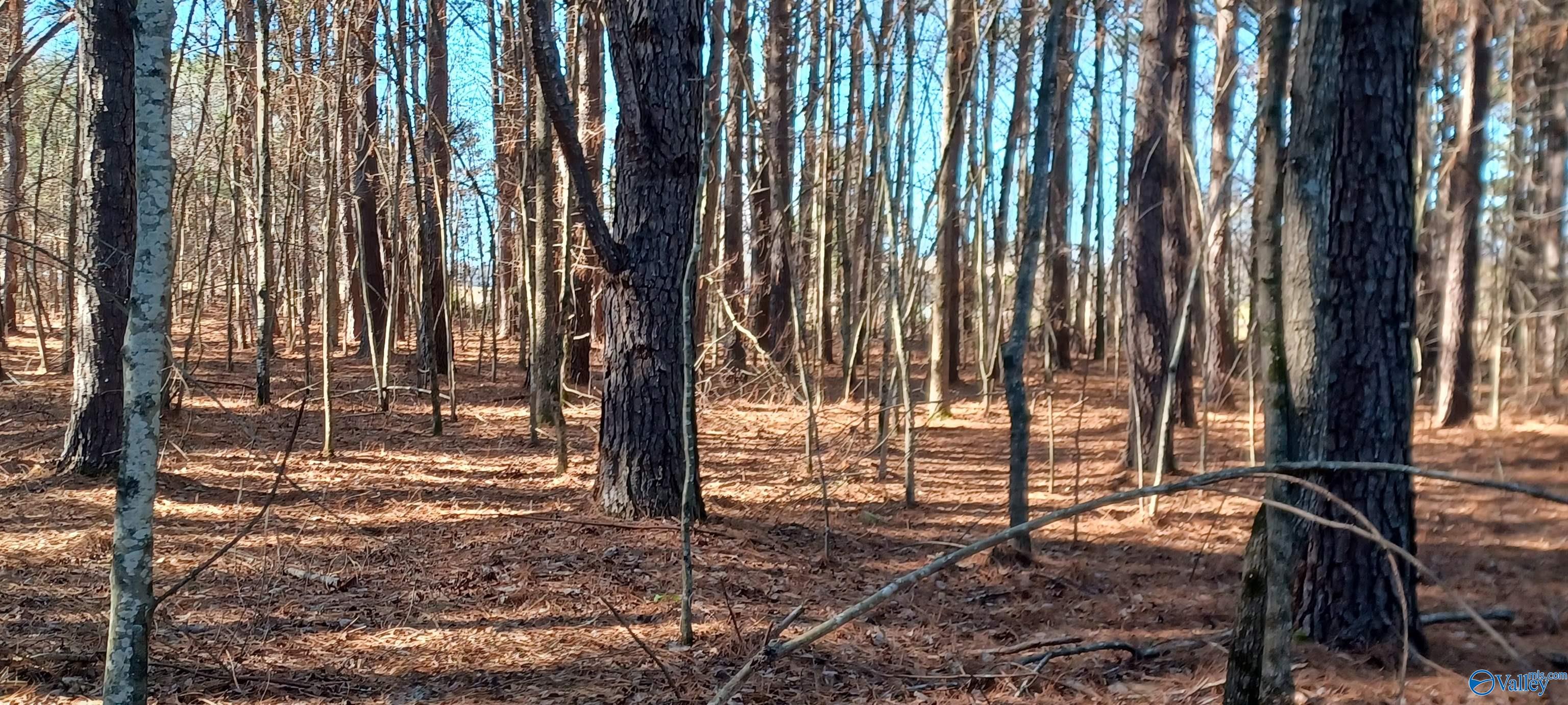 2.28 ACRES Scott Road, Hazel Green, Alabama image 7