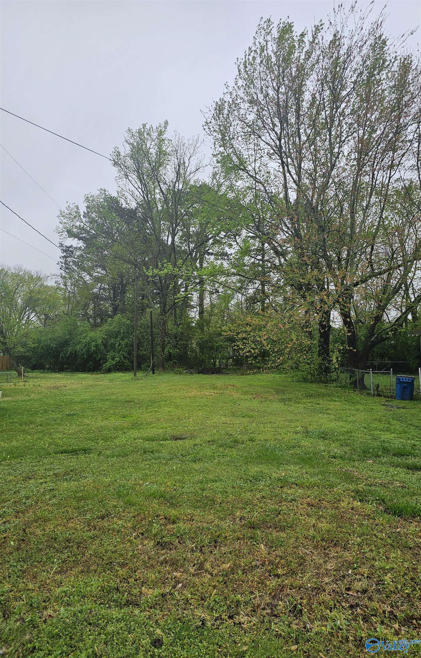 613 Sparks Avenue, Boaz, Alabama image 1