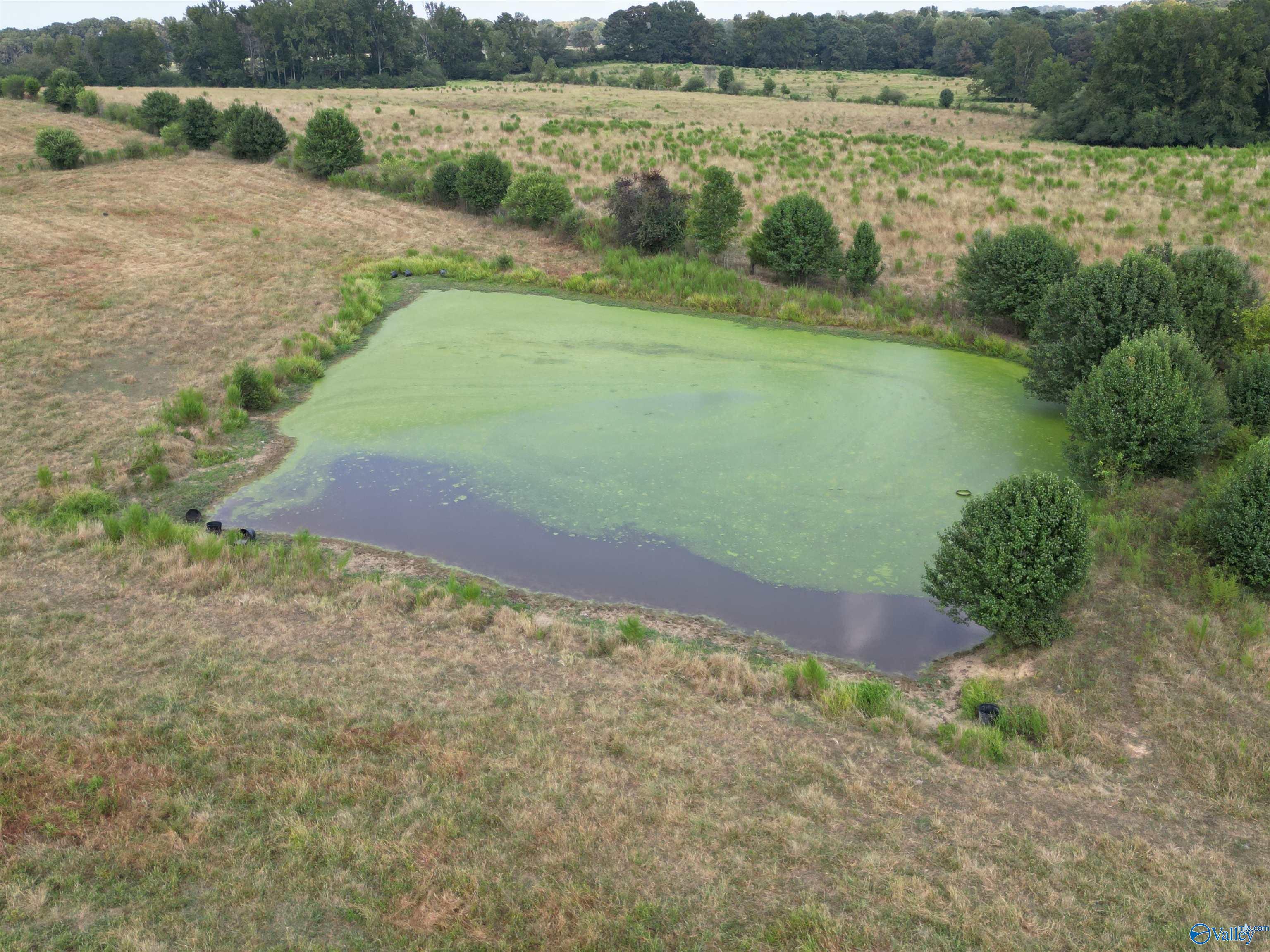 455 County Road 1678