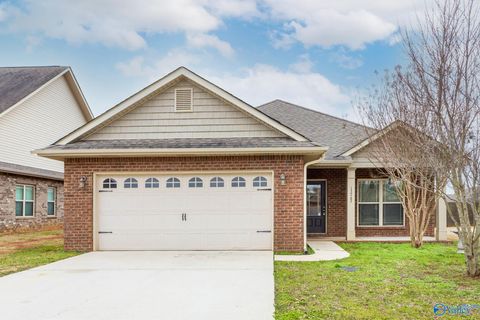 13767 Glendorch Lane Athens AL 35613