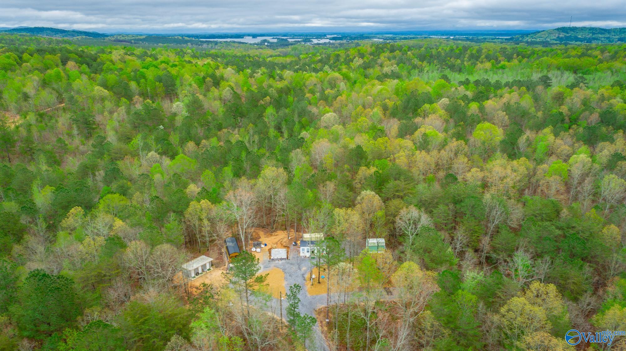 5200 Al Hwy 273, Cedar Bluff, Alabama image 44