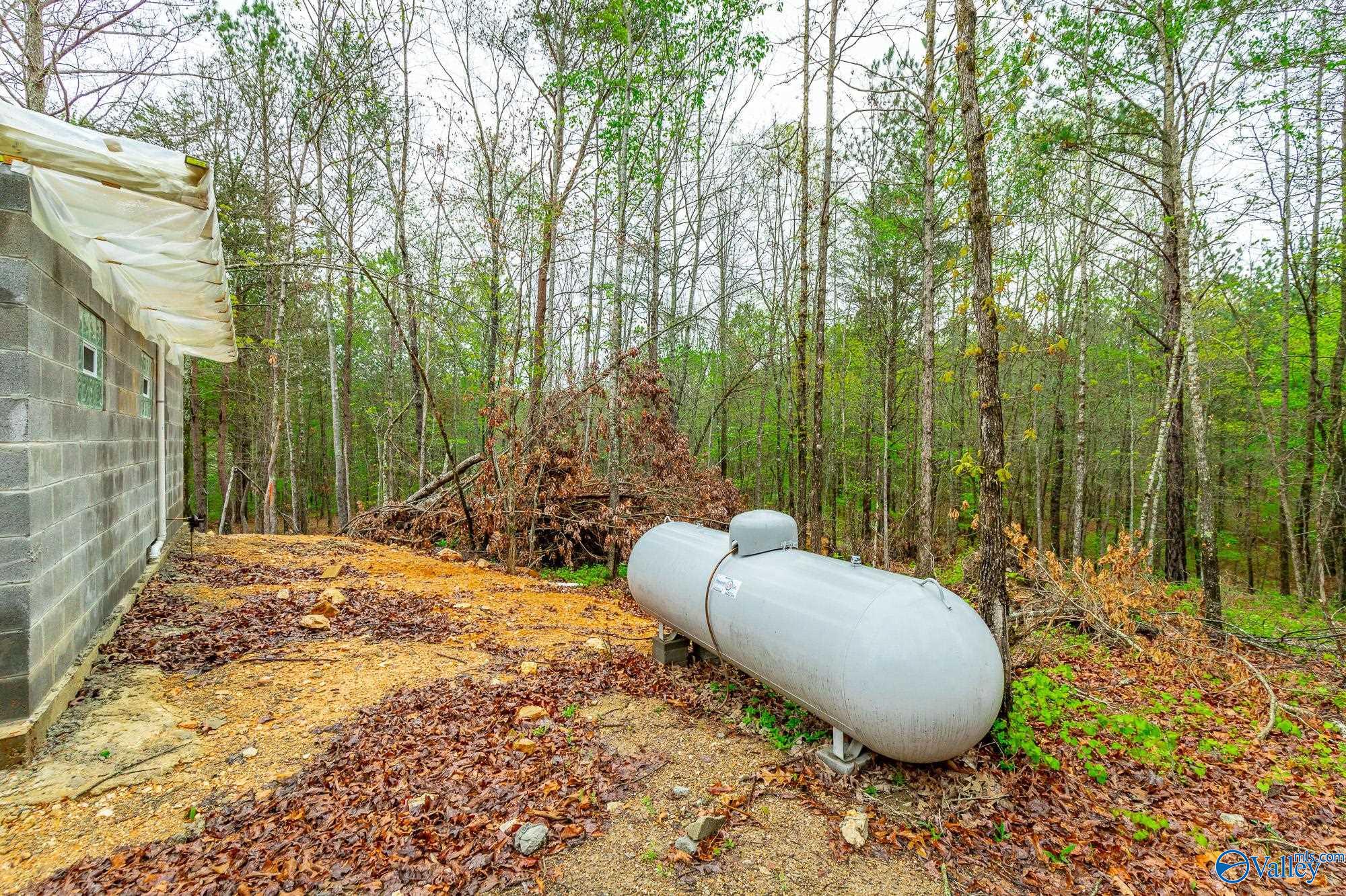 5200 Al Hwy 273, Cedar Bluff, Alabama image 31