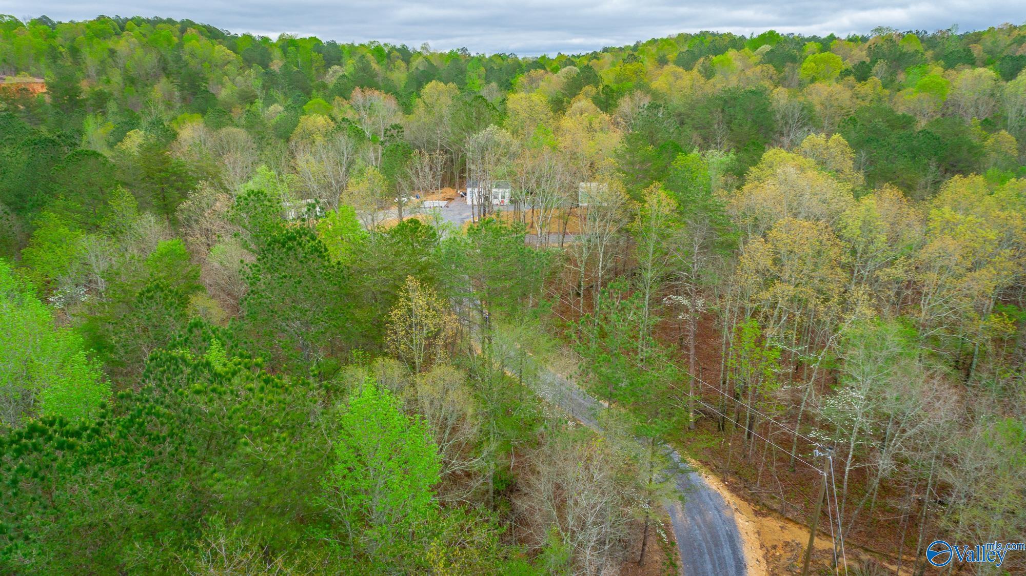 5200 Al Hwy 273, Cedar Bluff, Alabama image 33