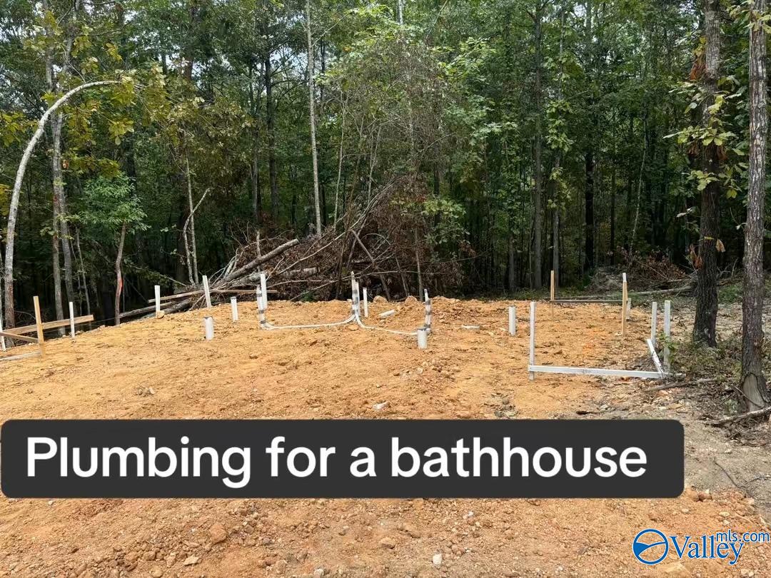 5200 Al Hwy 273, Cedar Bluff, Alabama image 47