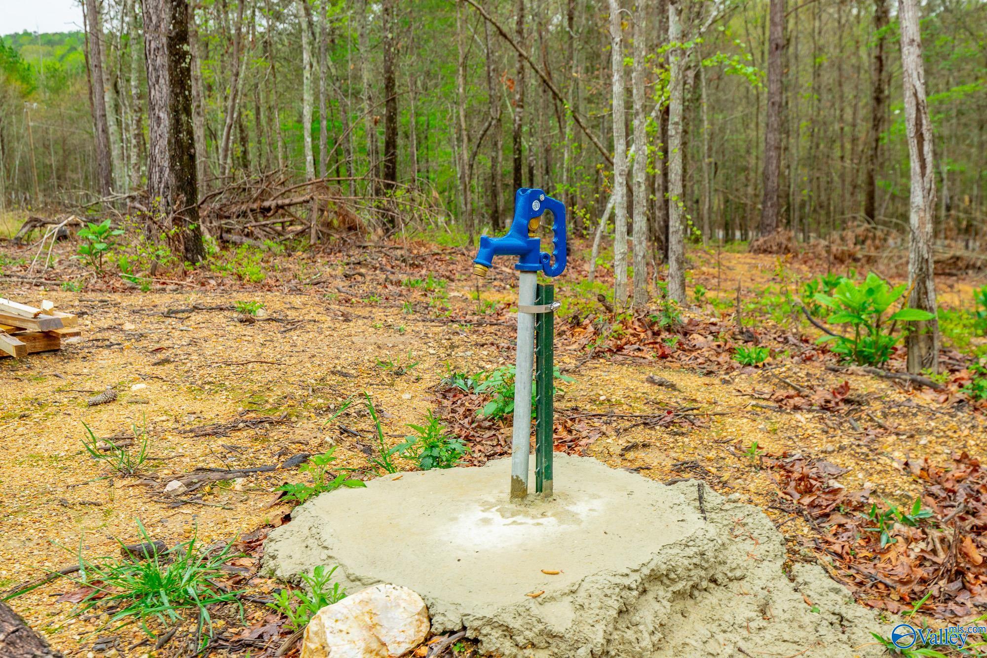 5200 Al Hwy 273, Cedar Bluff, Alabama image 16