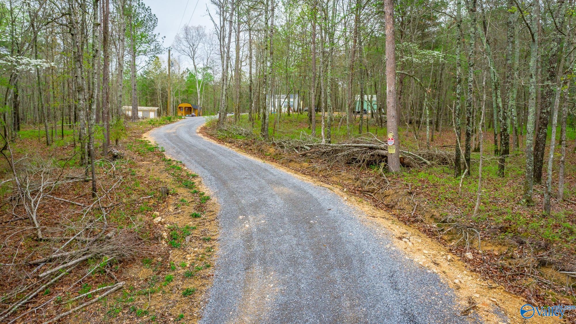 5200 Al Hwy 273, Cedar Bluff, Alabama image 36
