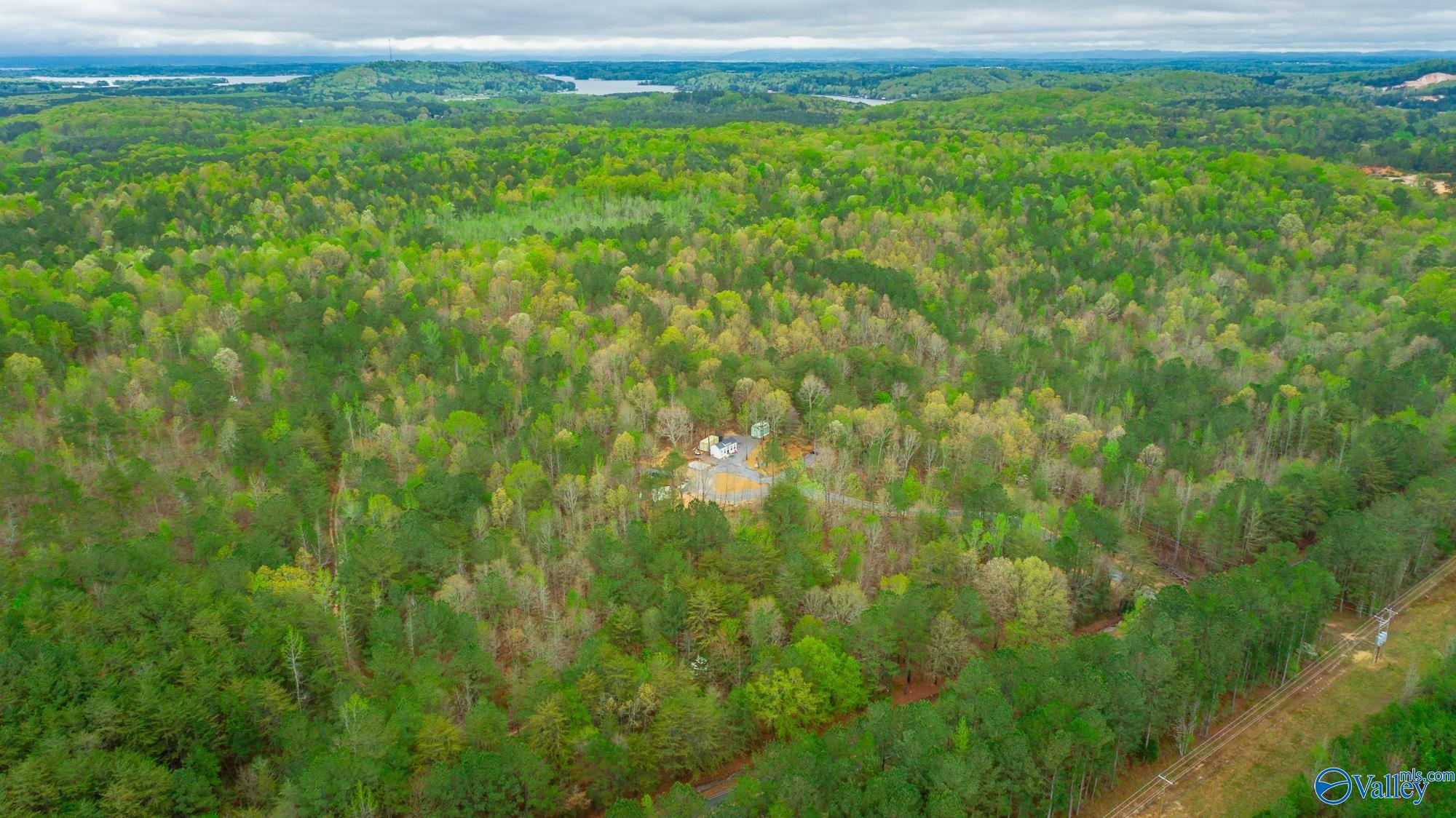 5200 Al Hwy 273, Cedar Bluff, Alabama image 1