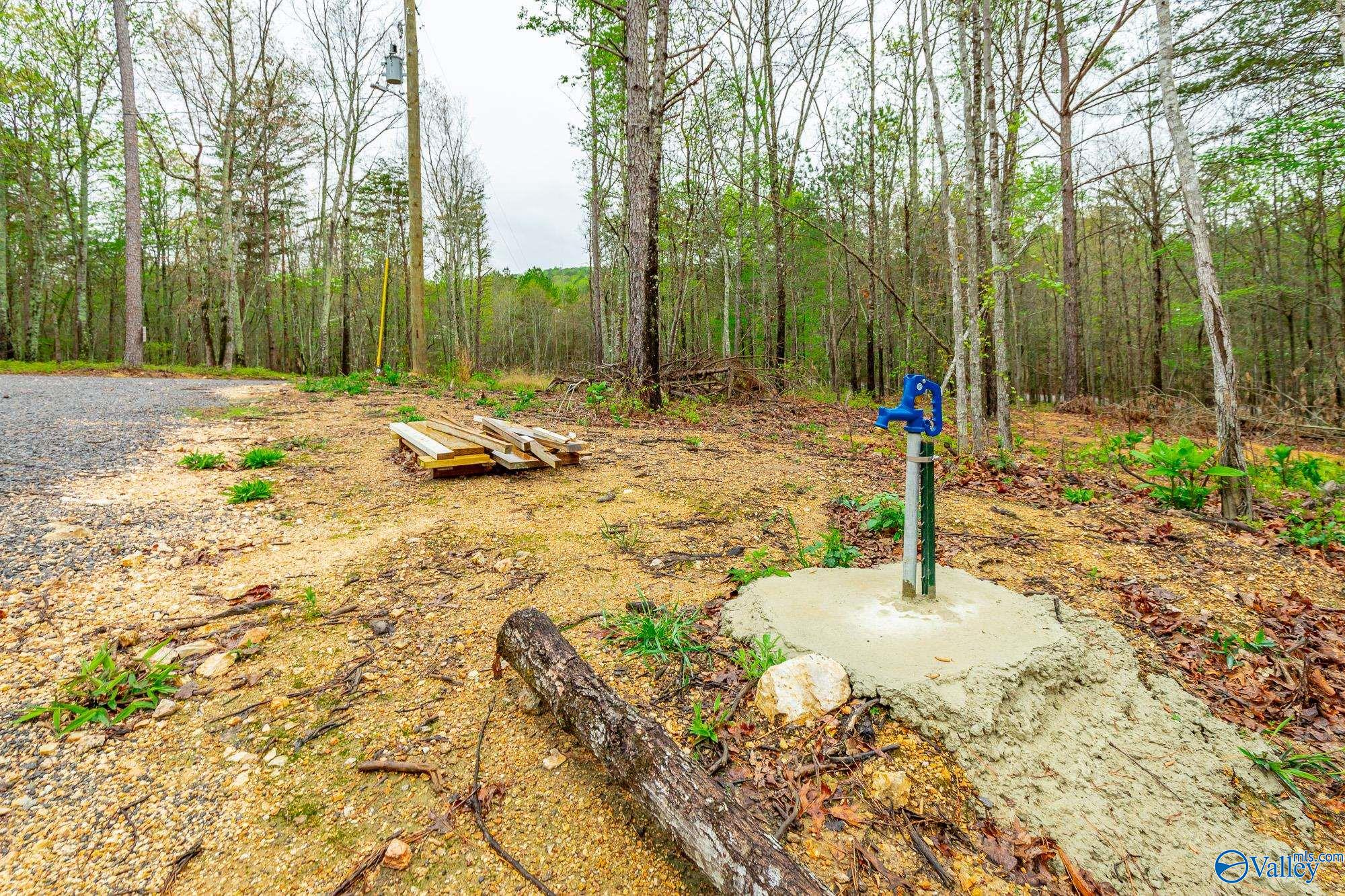 5200 Al Hwy 273, Cedar Bluff, Alabama image 17