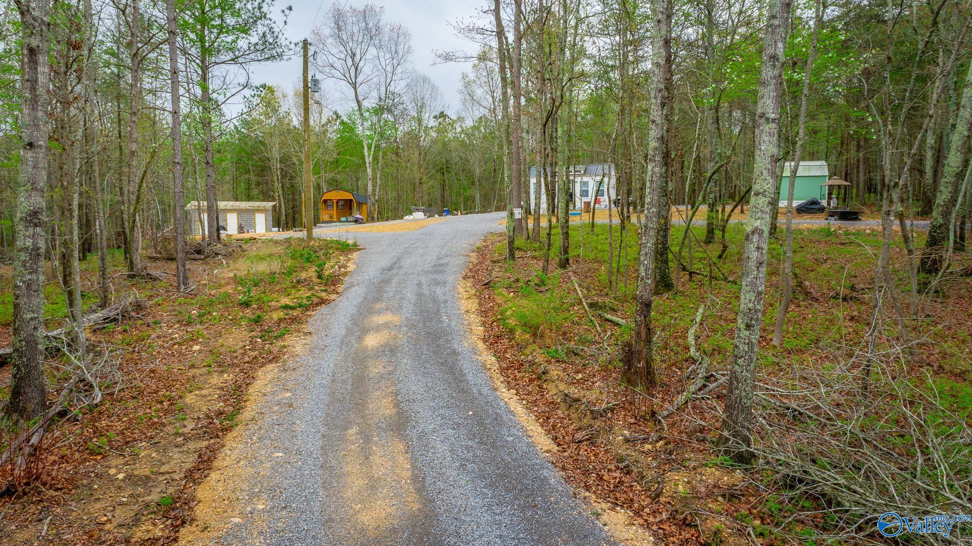 5200 Al Hwy 273, Cedar Bluff, Alabama image 37