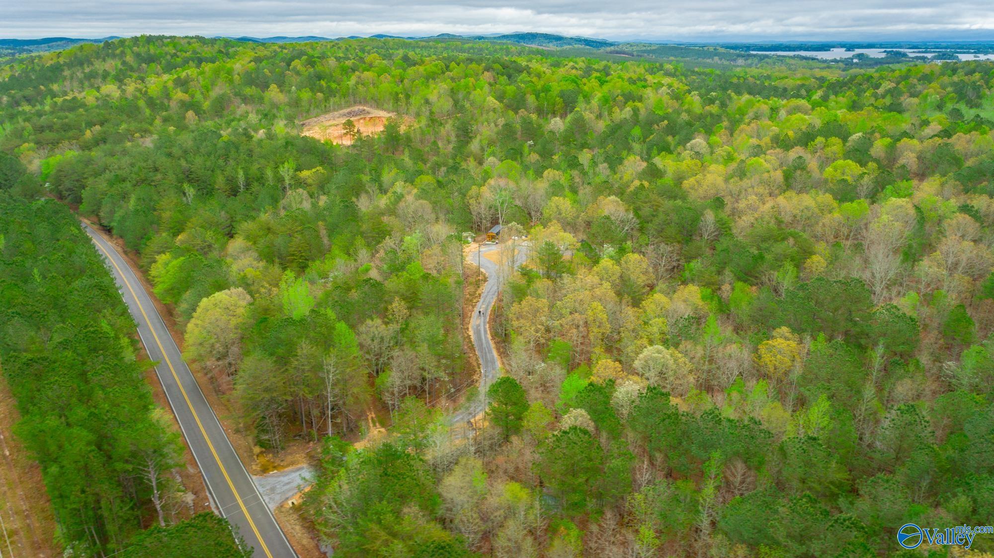 5200 Al Hwy 273, Cedar Bluff, Alabama image 41
