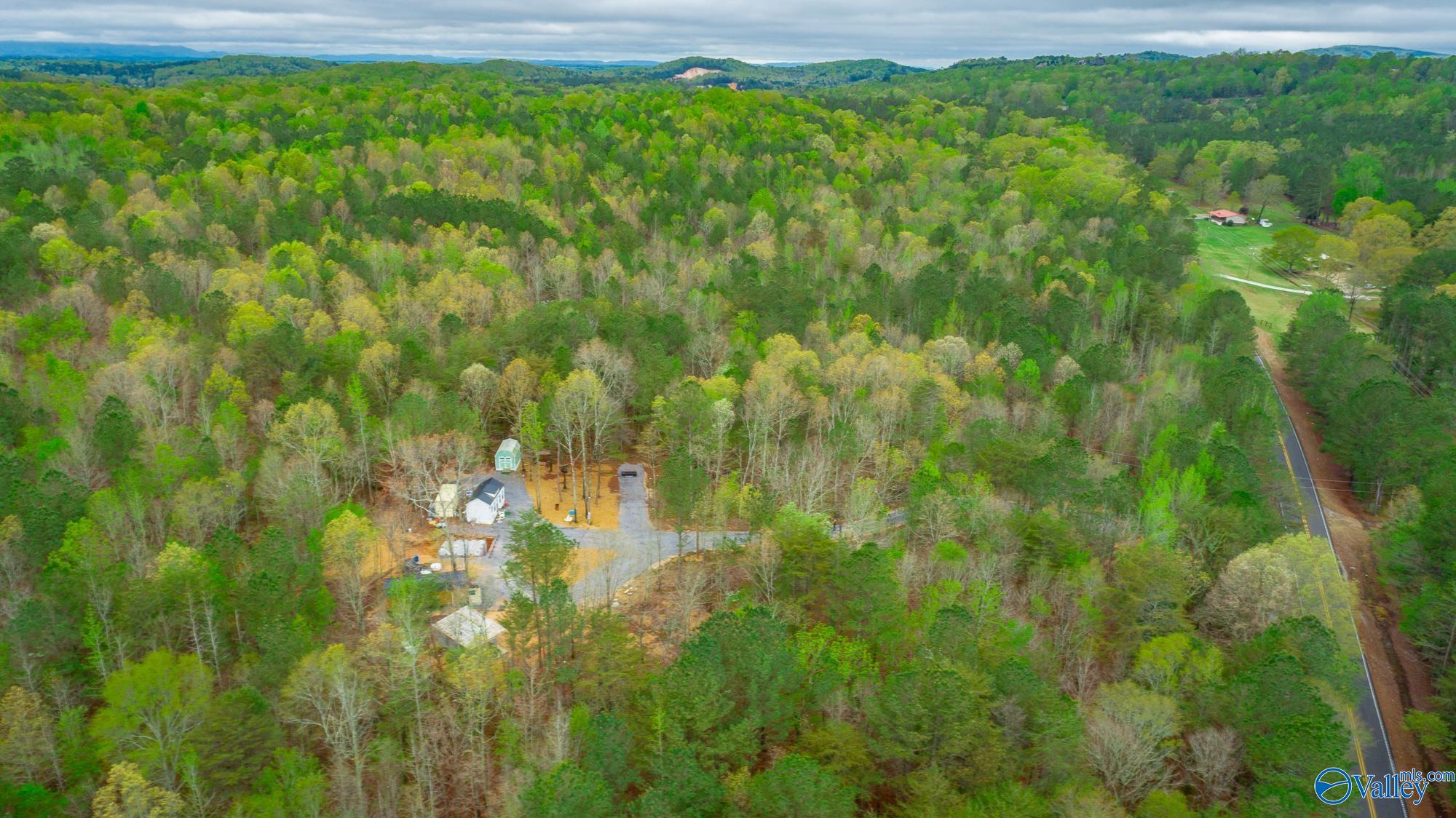5200 Al Hwy 273, Cedar Bluff, Alabama image 43