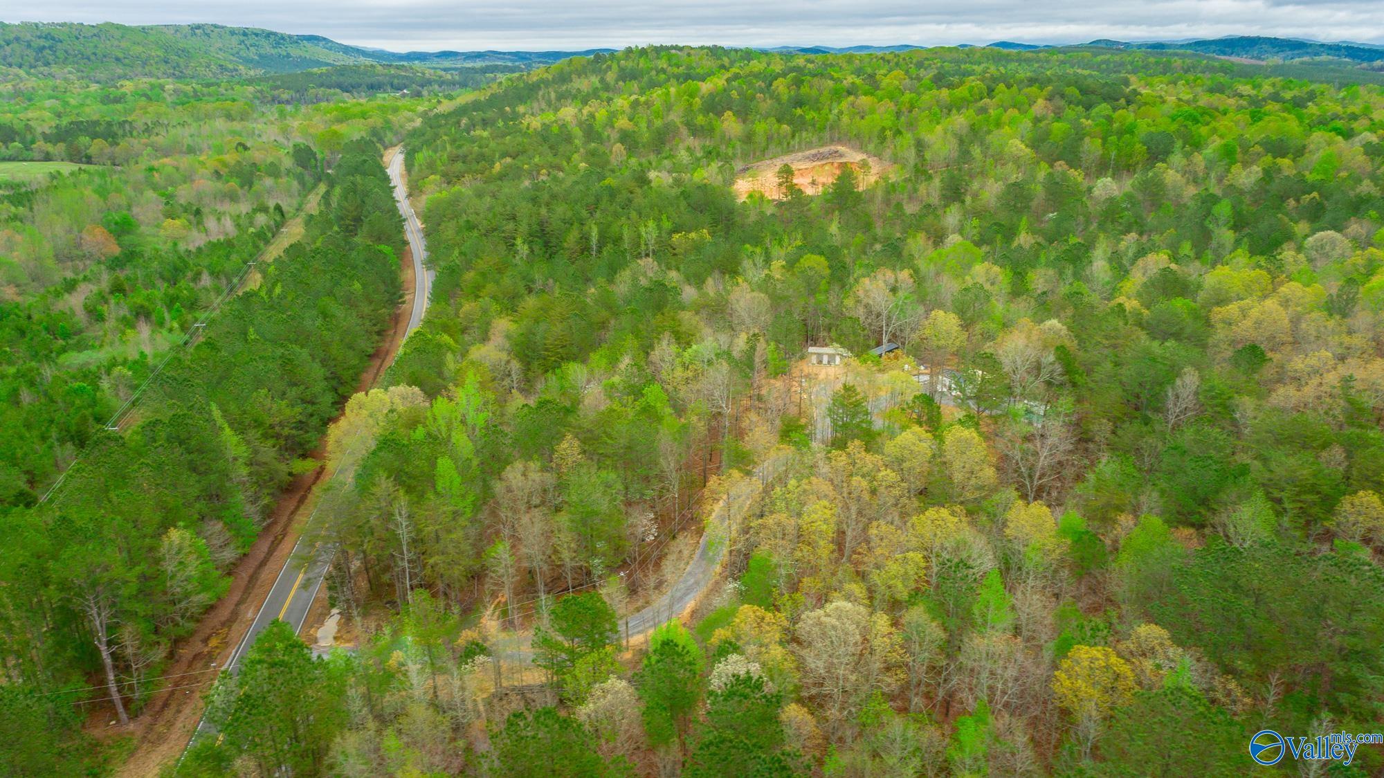 5200 Al Hwy 273, Cedar Bluff, Alabama image 42