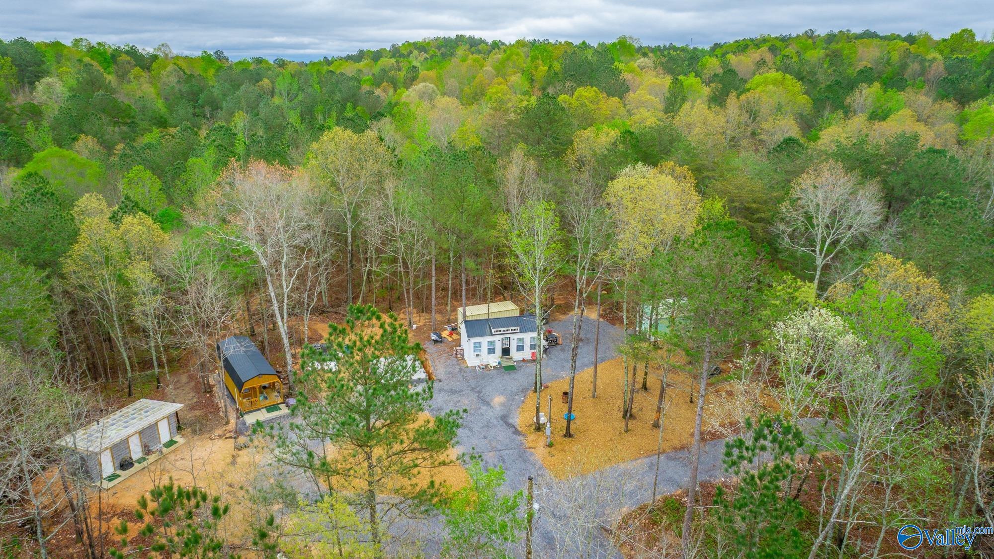 5200 Al Hwy 273, Cedar Bluff, Alabama image 34