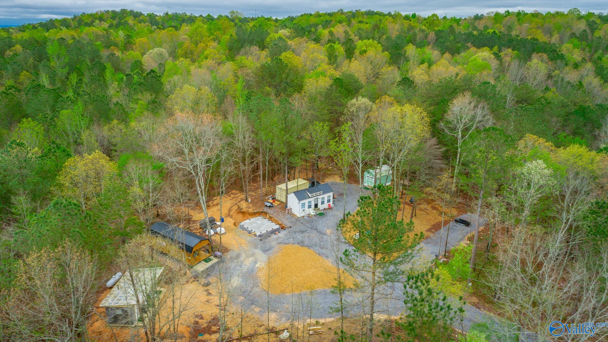 5200 Al Hwy 273, Cedar Bluff, Alabama image 45
