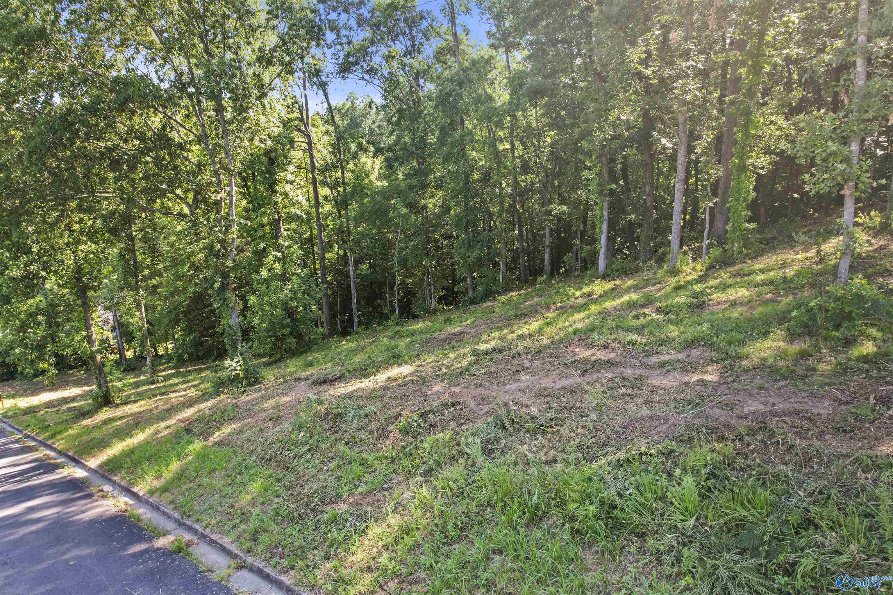 Lot 28 Hualapai Lane, Guntersville, Alabama image 5