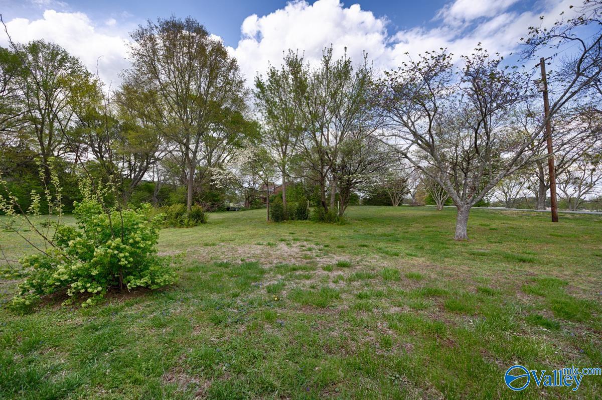 744 4th Avenue, Arab, Alabama image 35