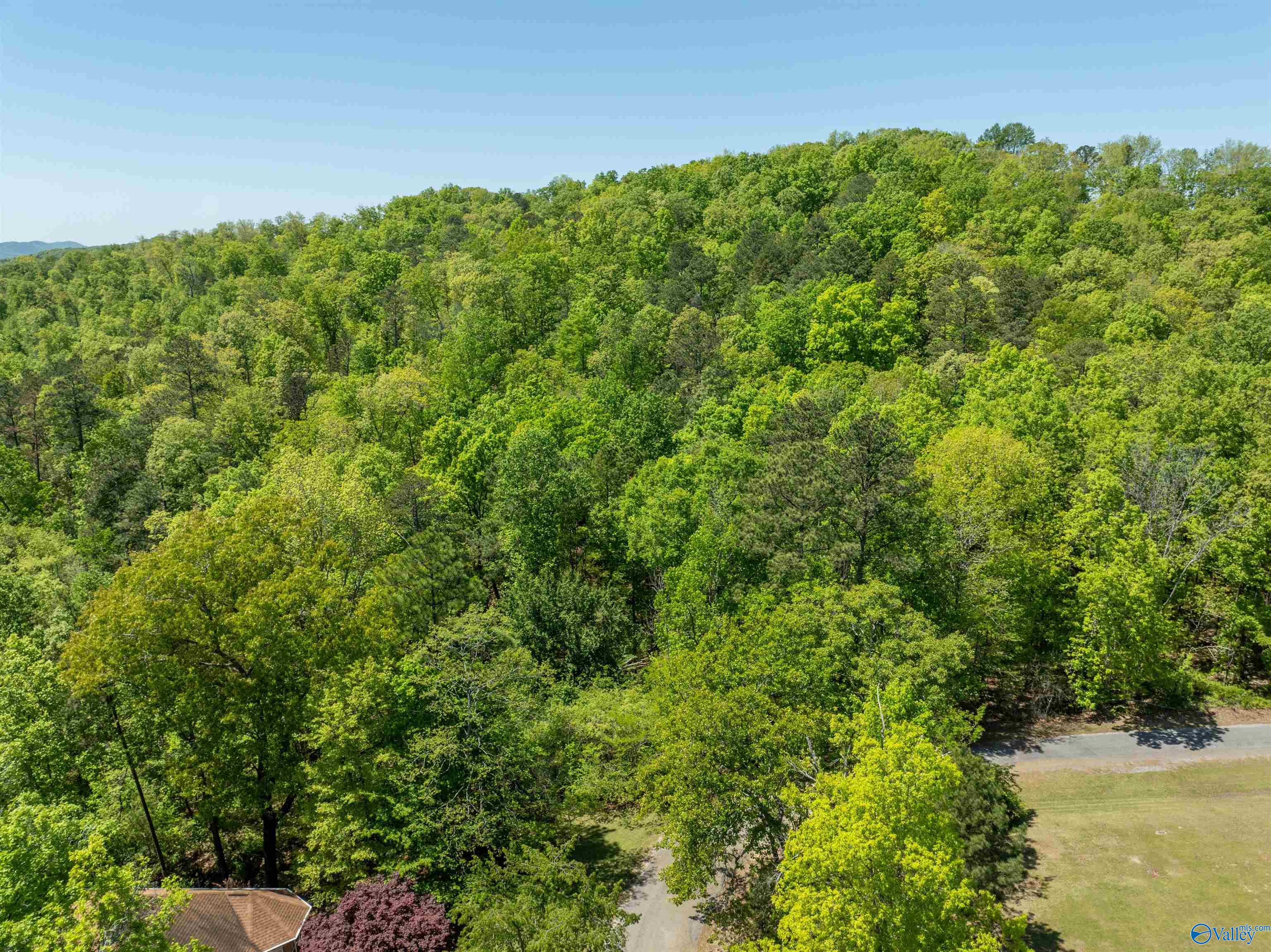 Lot 28 Prince Drive, Southside, Alabama image 8