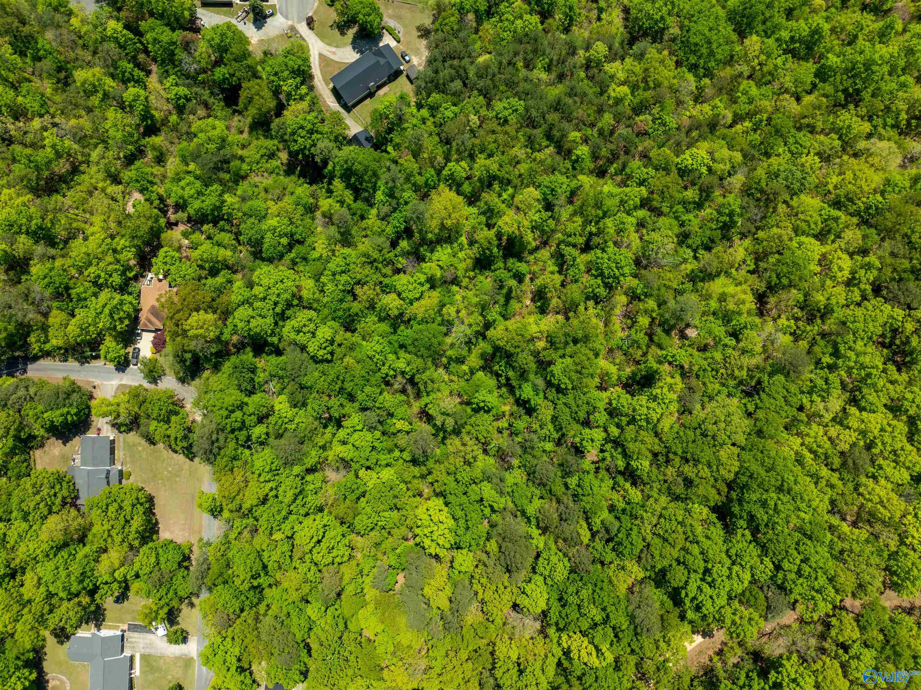 Lot 28 Prince Drive, Southside, Alabama image 3