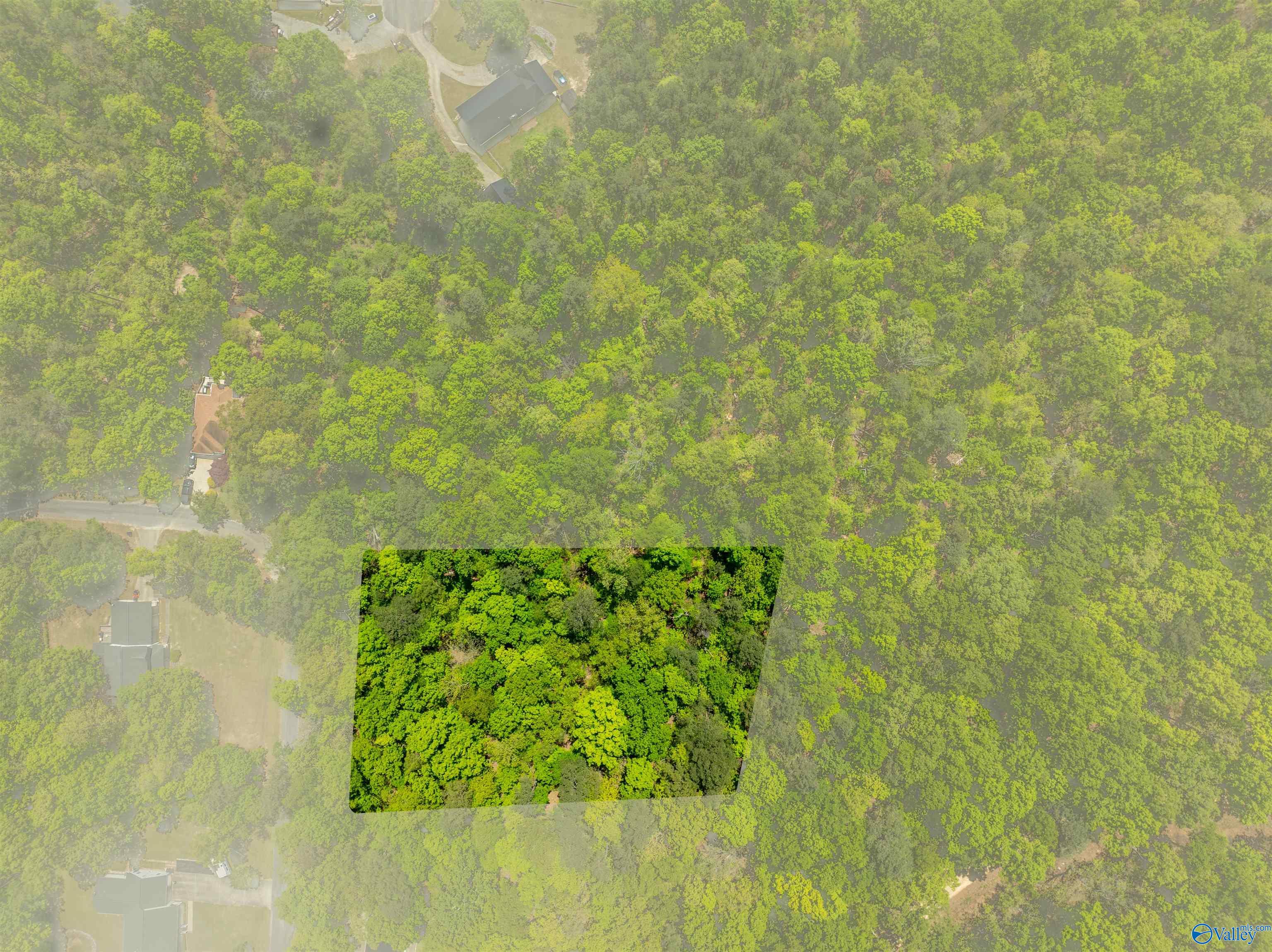 Lot 28 Prince Drive, Southside, Alabama image 2