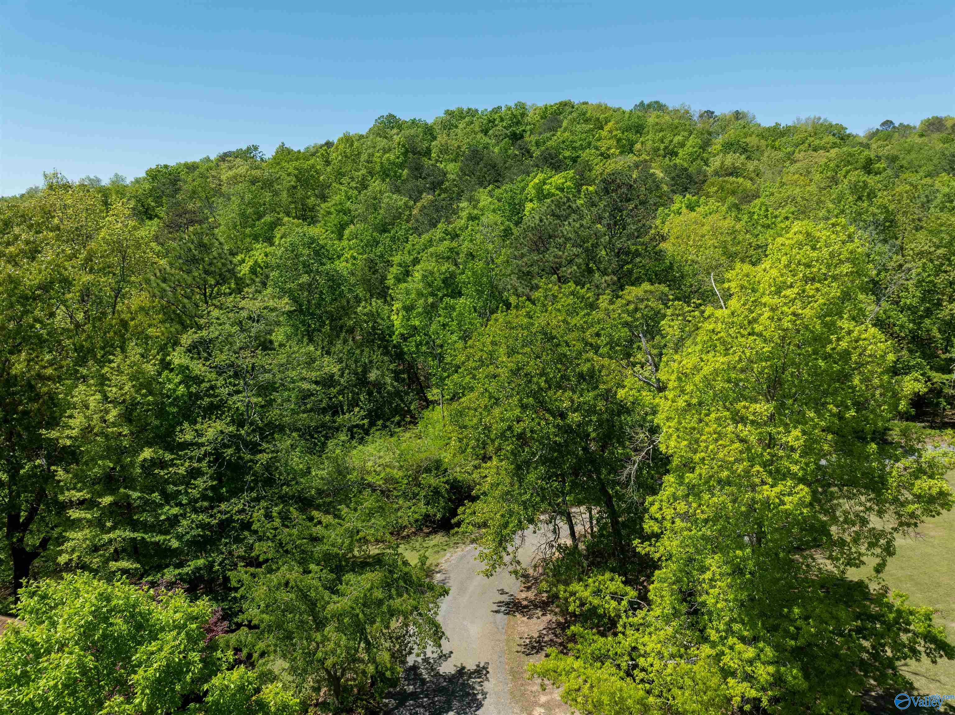 Lot 28 Prince Drive, Southside, Alabama image 9