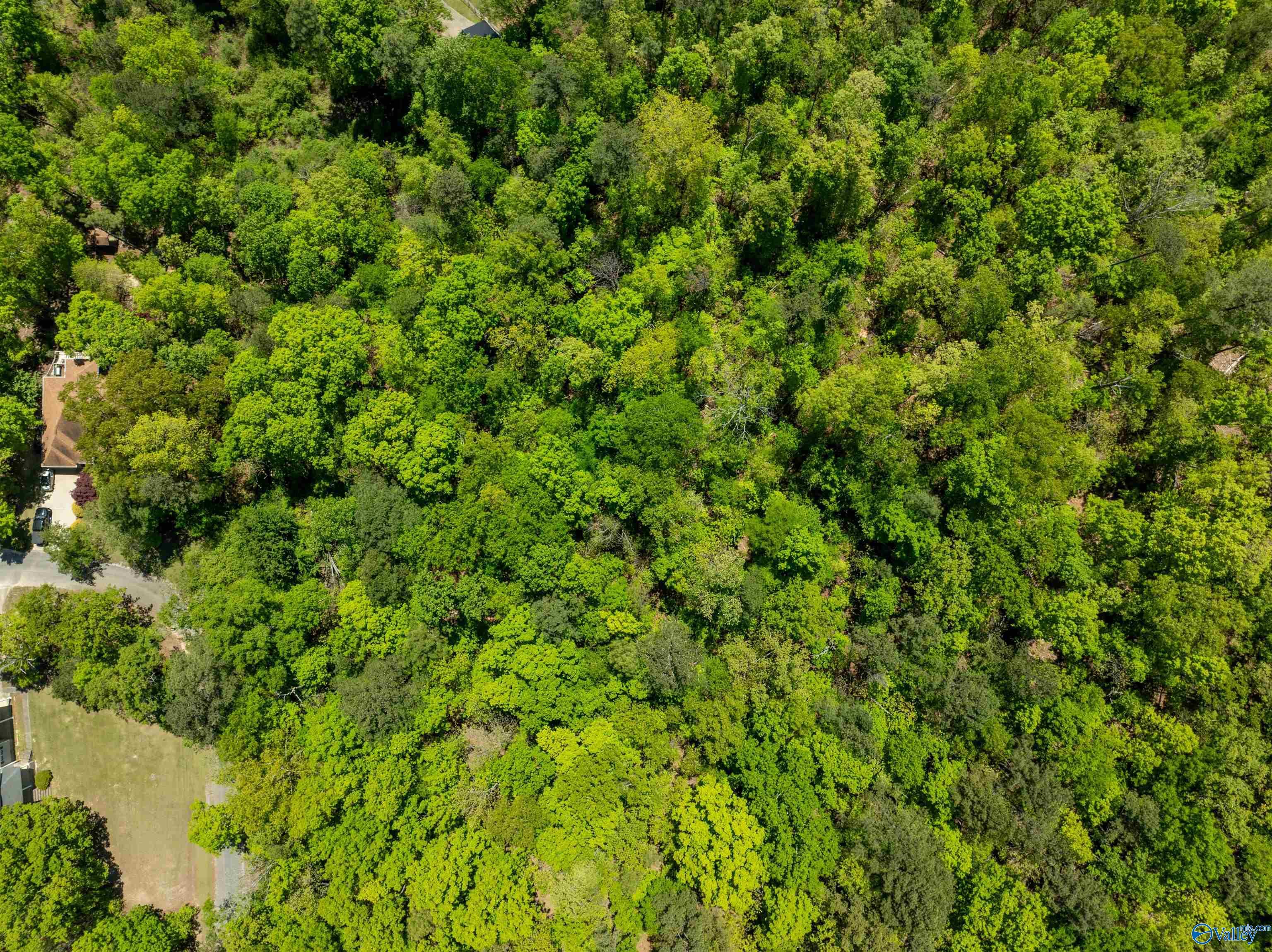Lot 28 Prince Drive, Southside, Alabama image 7