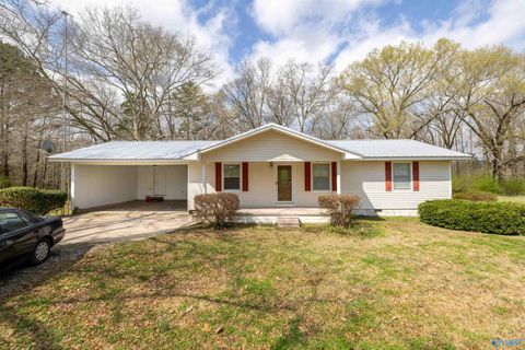 Photo of 10983 County Highway 11, Hamilton, AL 35570 (MLS # 21912637)