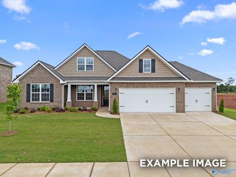 Photo of 117 Sniper Street, Toney, AL 35773 (MLS # 21917553)