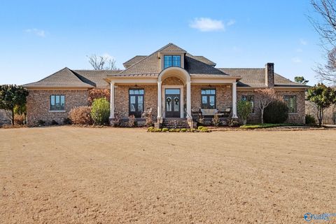 Photo of 1390 Old Highway 431, Owens Cross Roads, AL 35763 (MLS # 21908678)