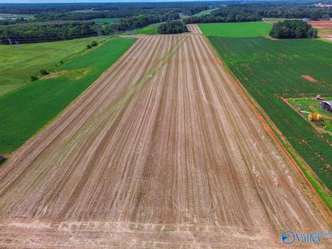 Vacant Land For Sale - 39 AC Huntsville Brownsferry Road<br/> Madison, AL 35756
