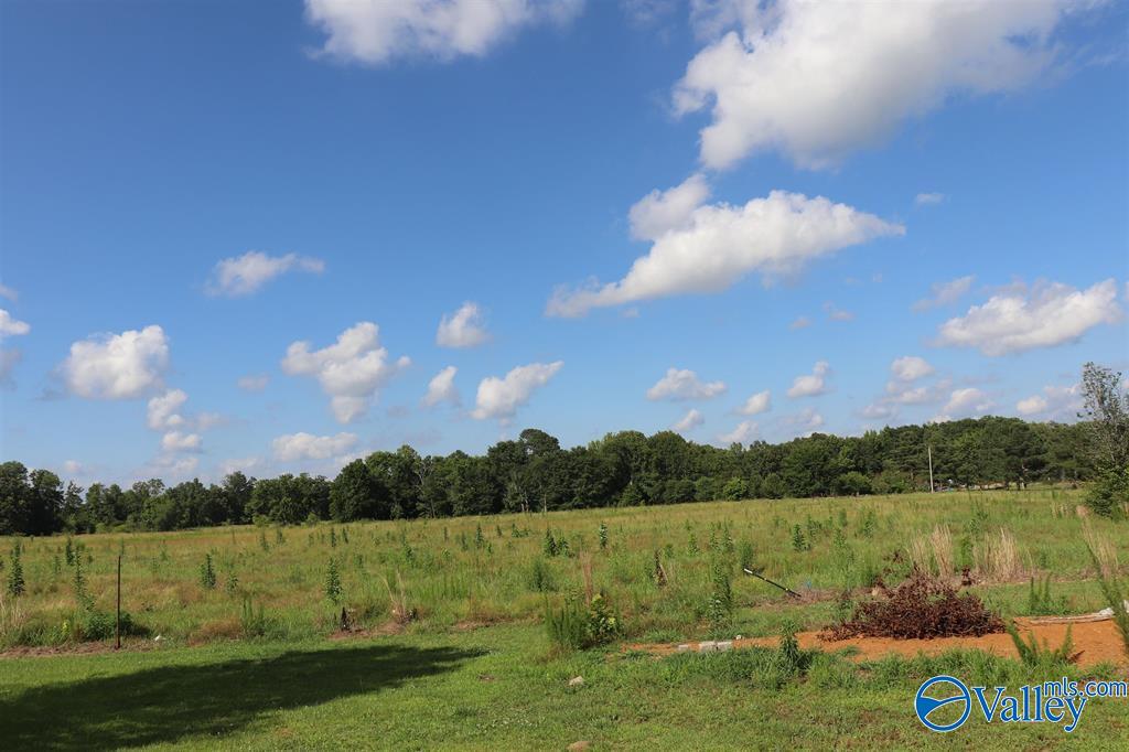 12.8 Acres Hobb Ward Road, Hartselle, Alabama image 8