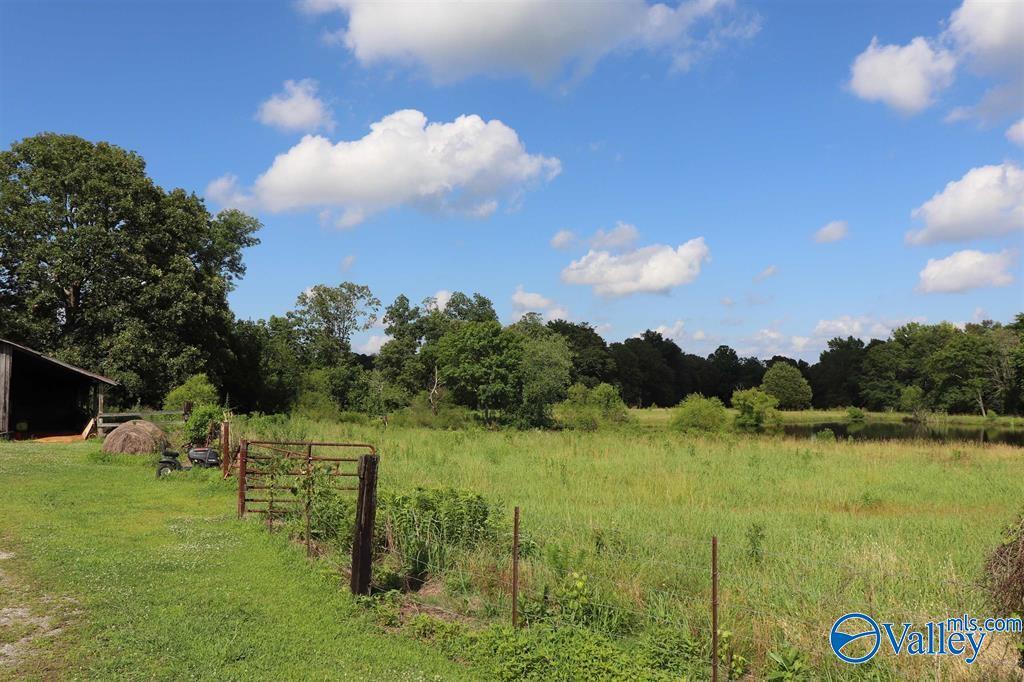12.8 Acres Hobb Ward Road, Hartselle, Alabama image 6