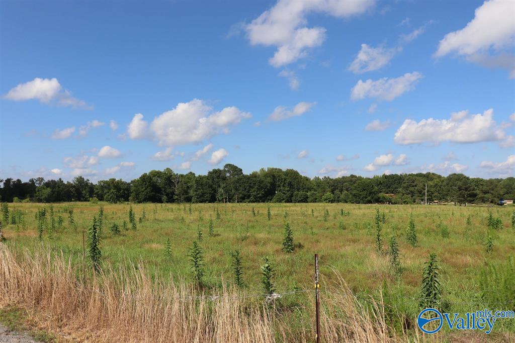 12.8 Acres Hobb Ward Road, Hartselle, Alabama image 13