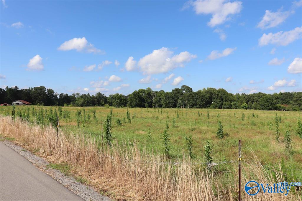 12.8 Acres Hobb Ward Road, Hartselle, Alabama image 12