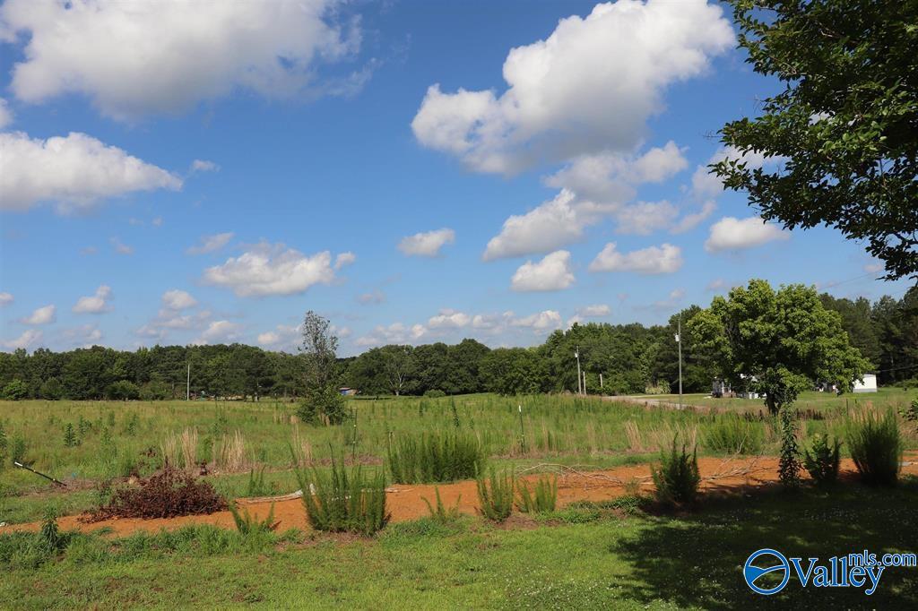 12.8 Acres Hobb Ward Road, Hartselle, Alabama image 7