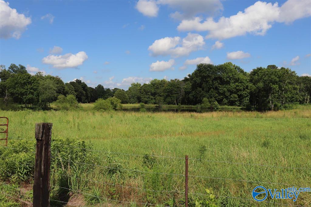 12.8 Acres Hobb Ward Road, Hartselle, Alabama image 2