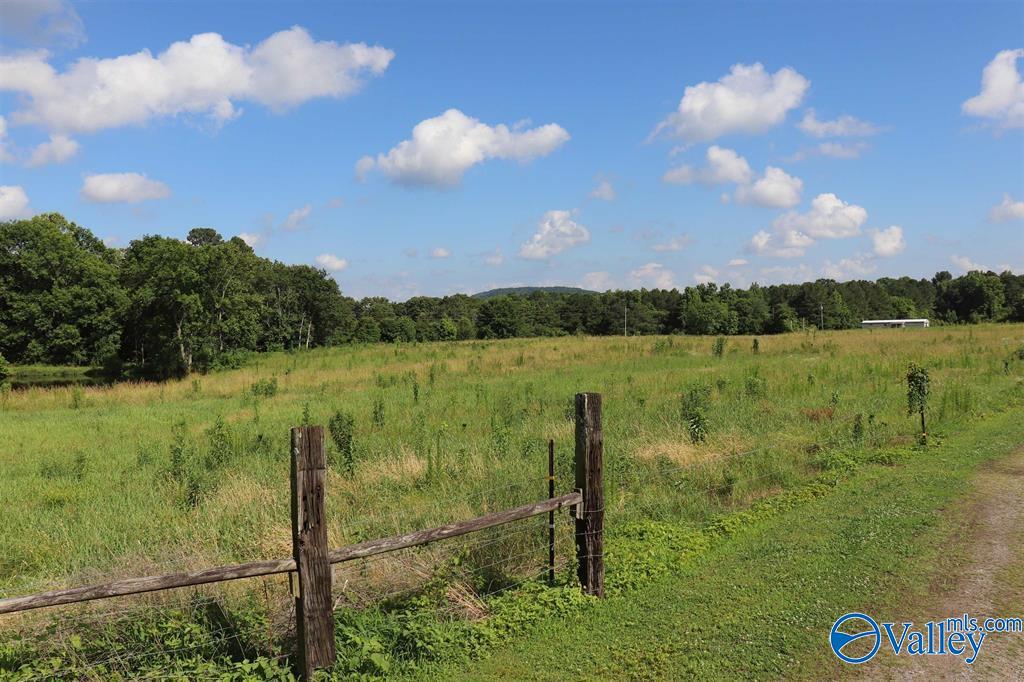 12.8 Acres Hobb Ward Road, Hartselle, Alabama image 5