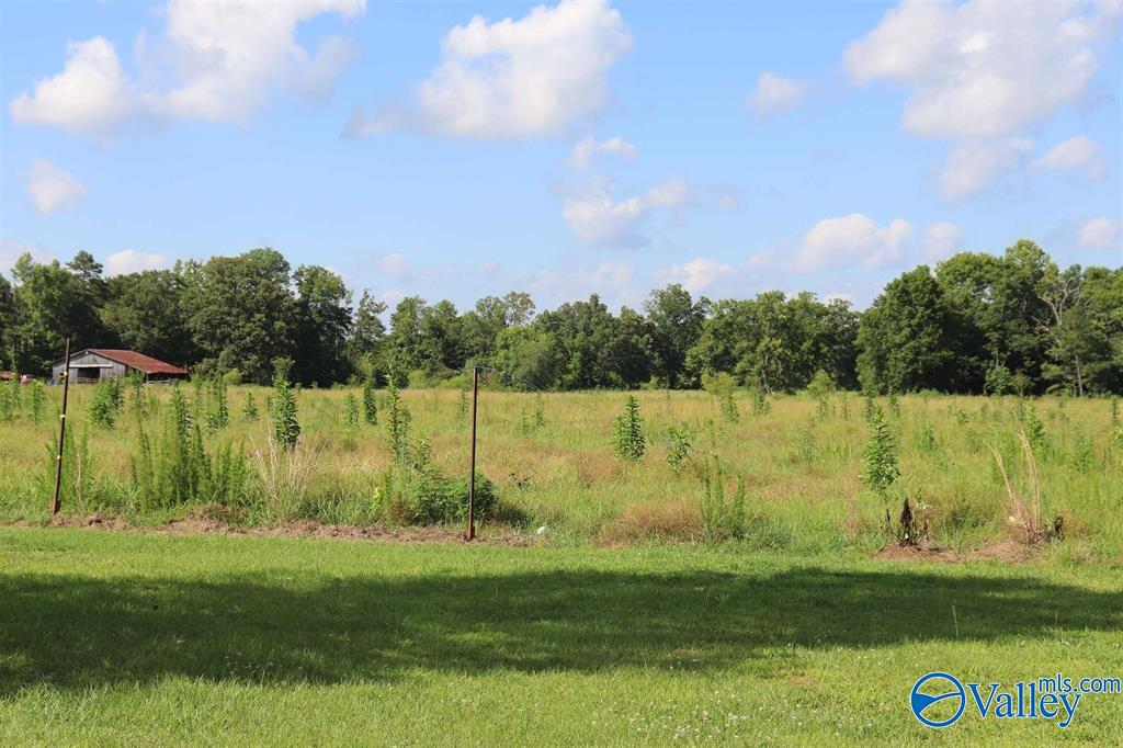 12.8 Acres Hobb Ward Road, Hartselle, Alabama image 1