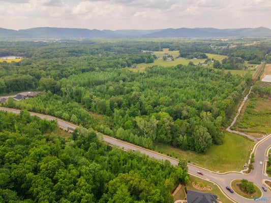 51 ACRES SCHOOL ROAD, OWENS CROSS ROADS, AL 35763 - Image cccd05f43de1b9bd84181b4f111099fb/3208955251