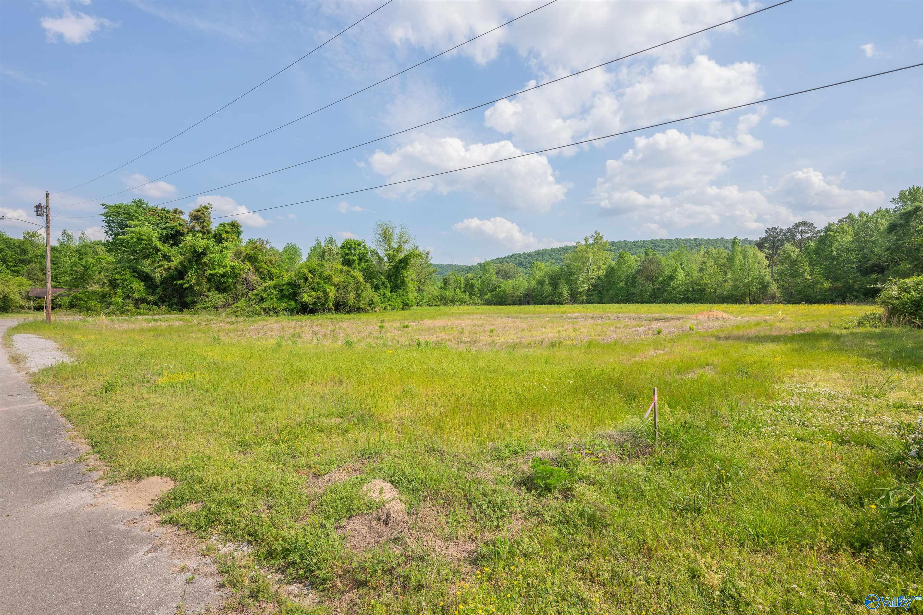 51 ACRES School Road, Owens Cross Roads, Alabama image 11