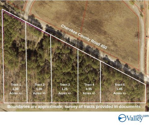 Vacant Land For Sale - TRACT 2 County Road 450<br/> Cherokee County, Centre, AL 35960