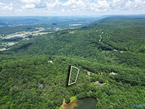 Vacant Land For Sale - LOT 9 County Road 166 (citadel Rock Road)<br/> Fort Payne, AL 35967
