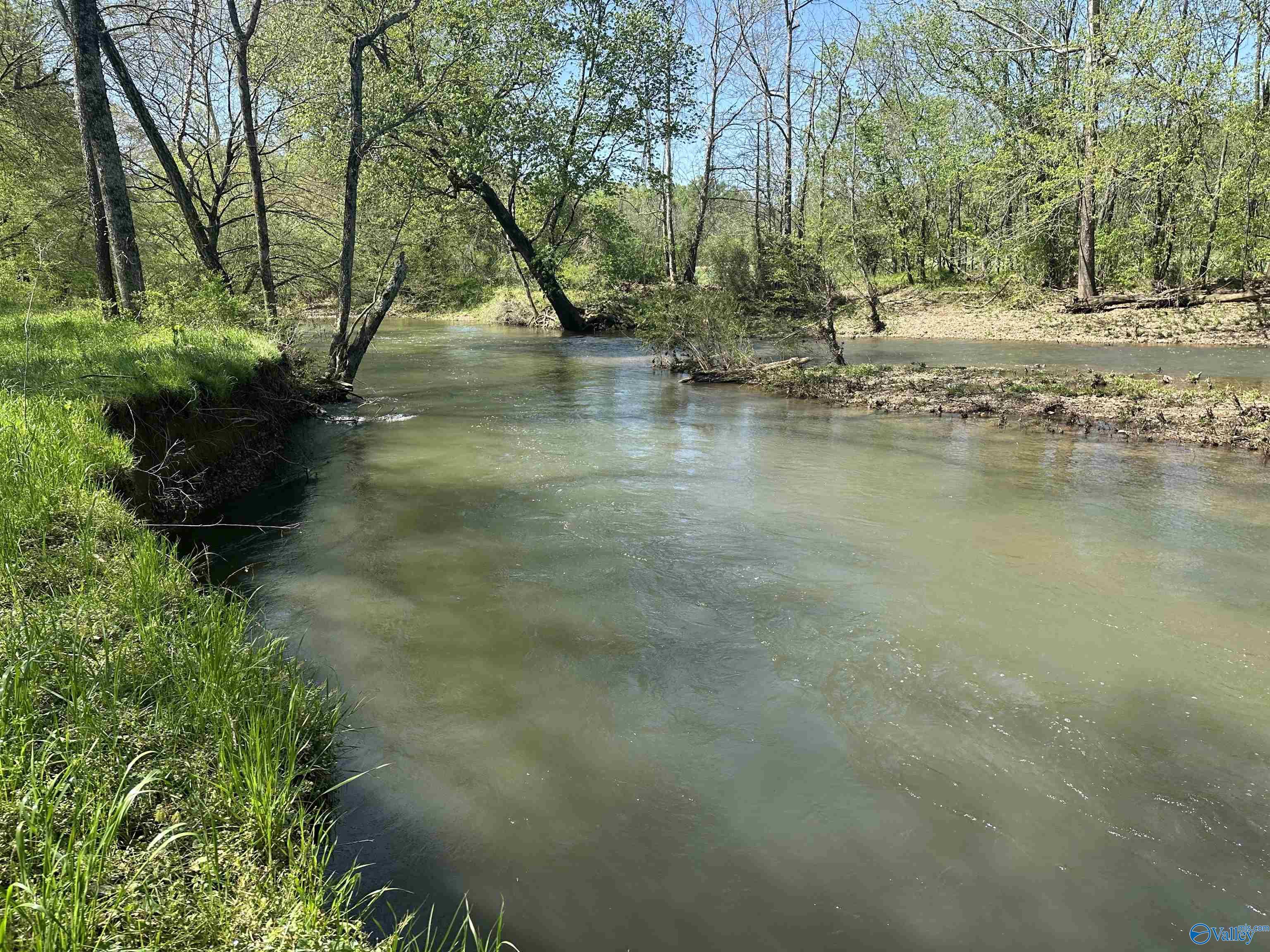 14535 Dupree Worthey Road, Harvest, Alabama image 44