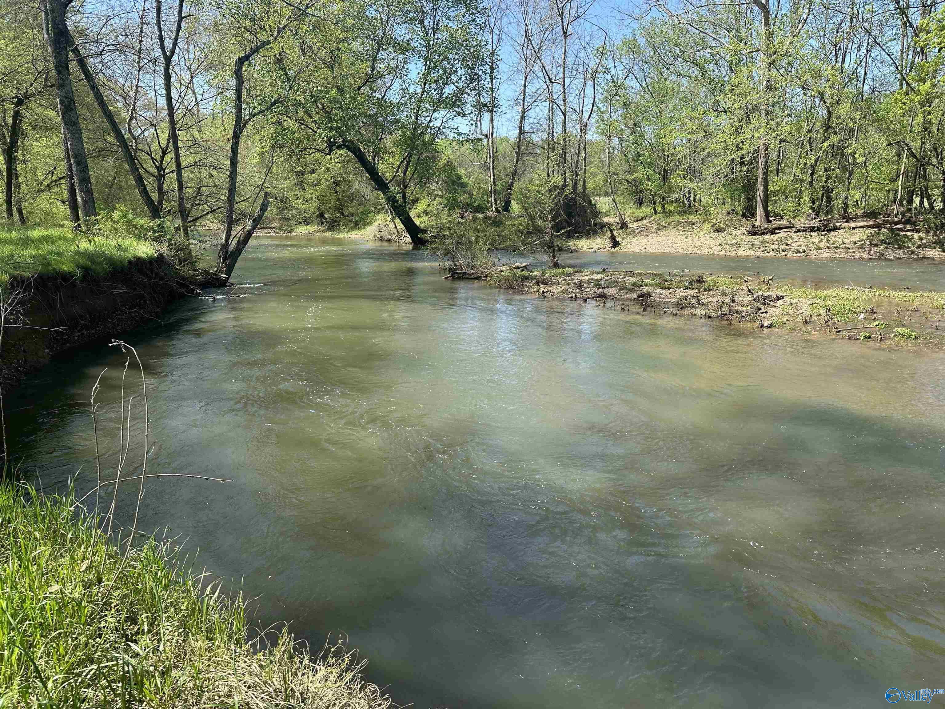 14535 Dupree Worthey Road, Harvest, Alabama image 4