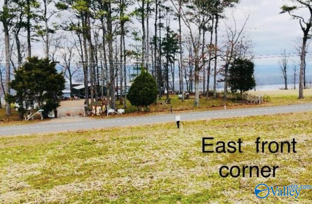392 & 418 Scenic Drive, Section, Alabama image 4