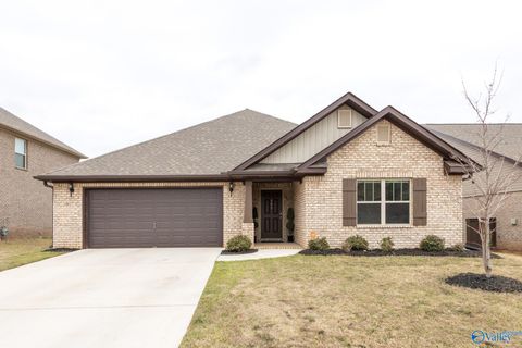 Homes For Sale - 103 Hillis Lane<br/> Hazel Green, AL 35750