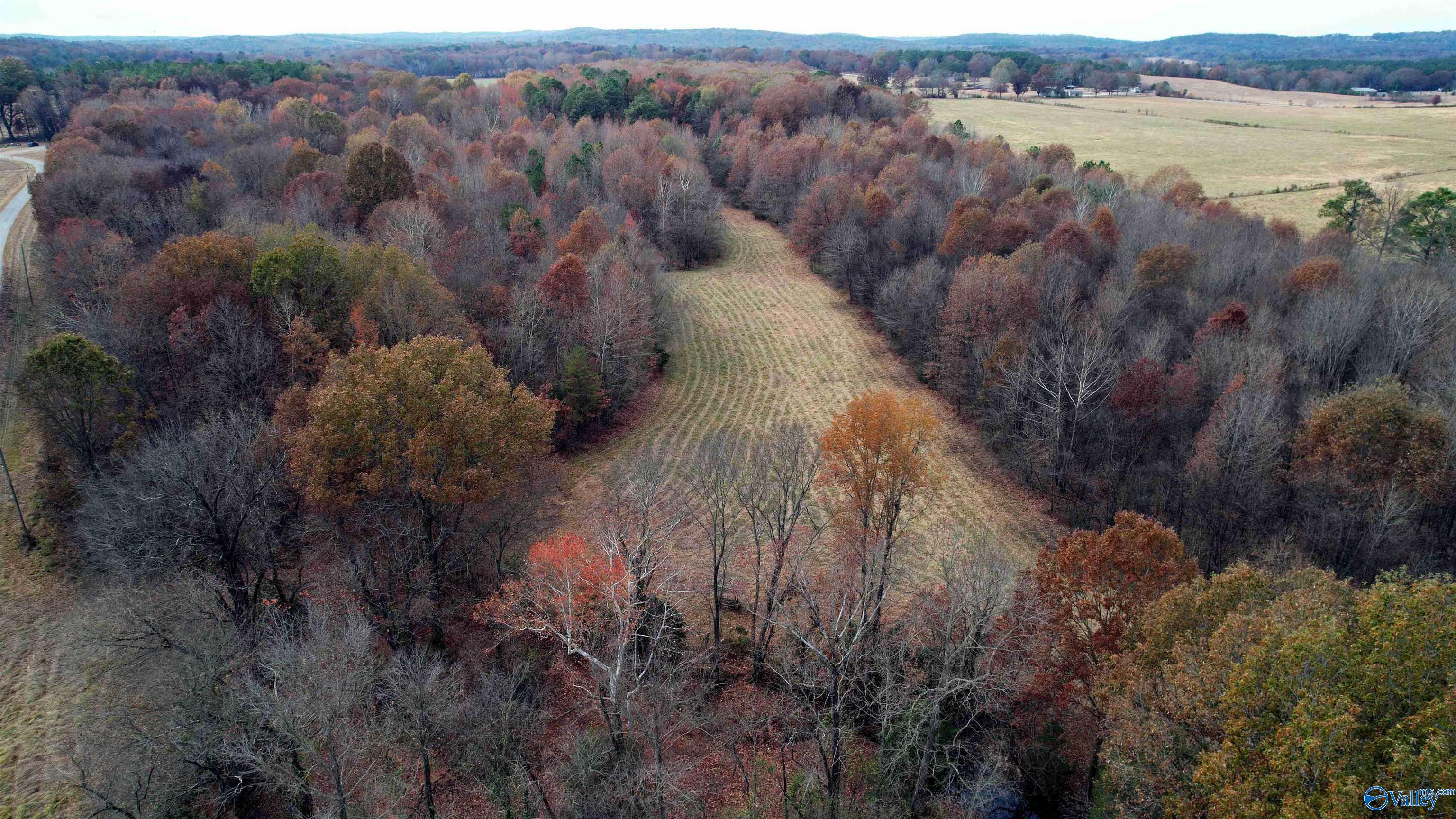 49 Acres County Road 56, Russellville, Alabama image 34