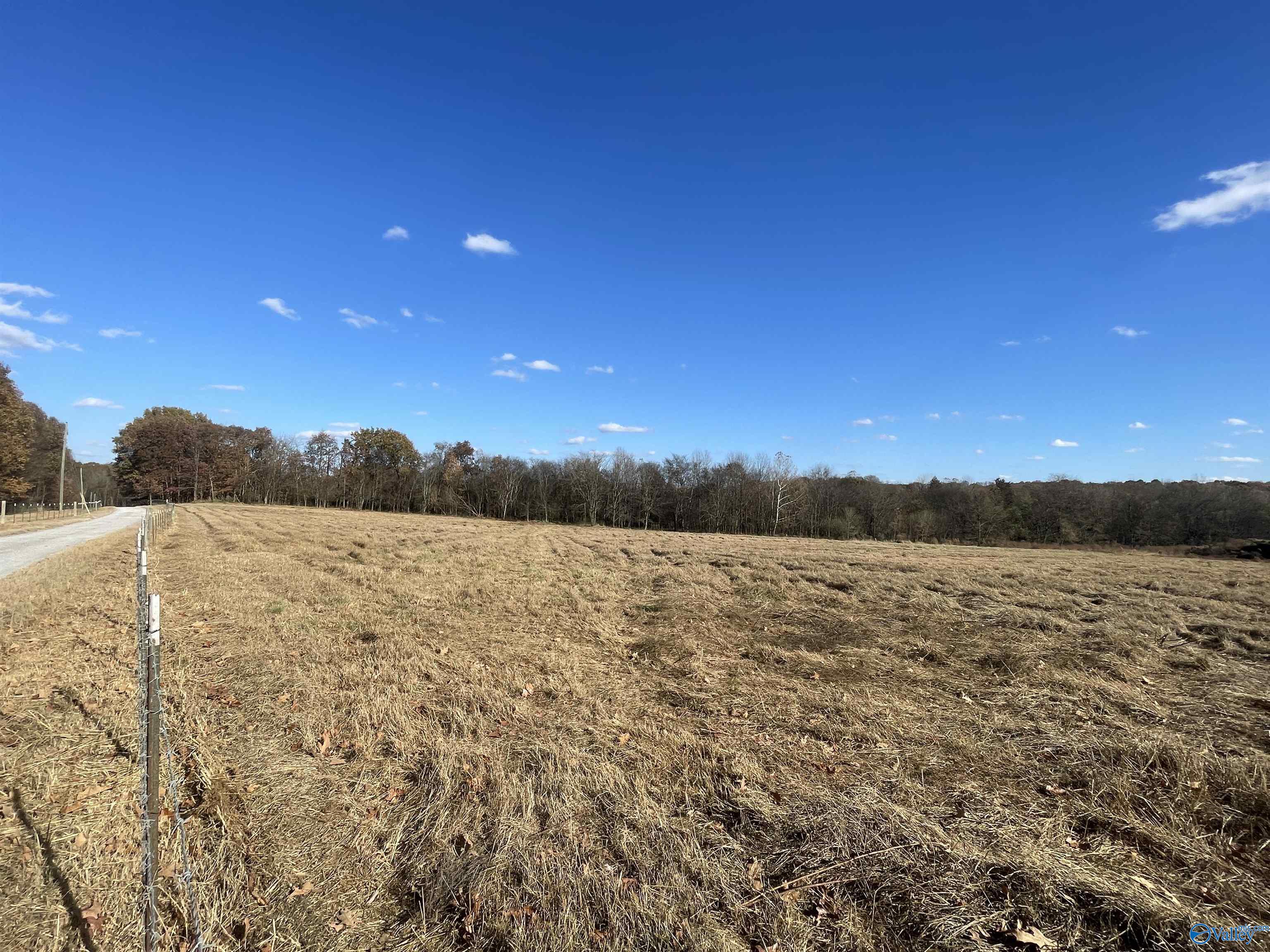 49 Acres County Road 56, Russellville, Alabama image 12